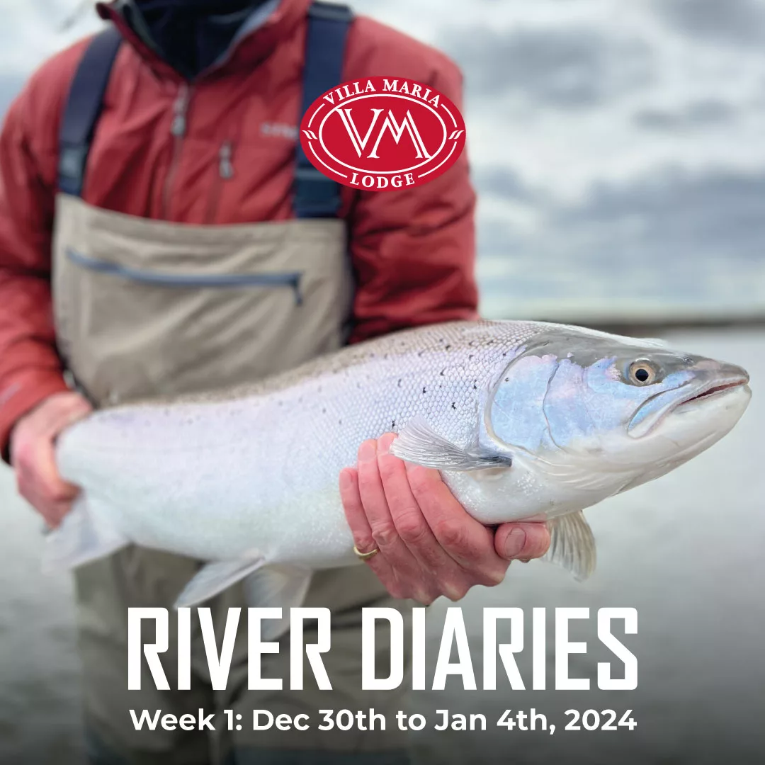 Villa María Lodge – Week 2: January 6th to 12th, 2024 | Nervous Waters
