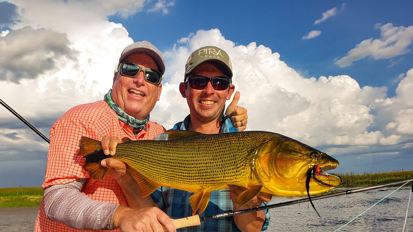 Bruce Chard Golden Dorado