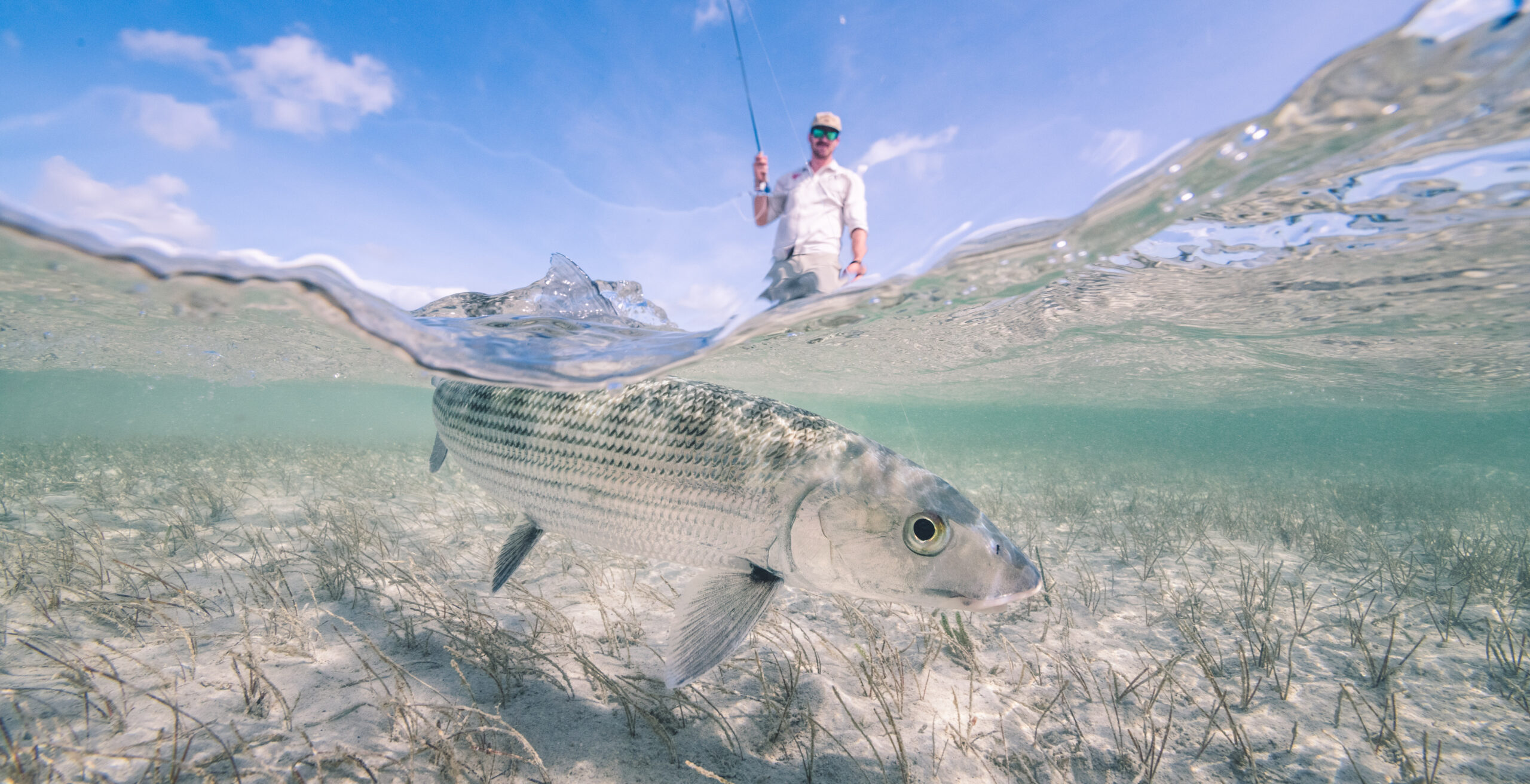 Underwater view of a striped fish swimming toward the camera while a man fishes from above the surface in the distance