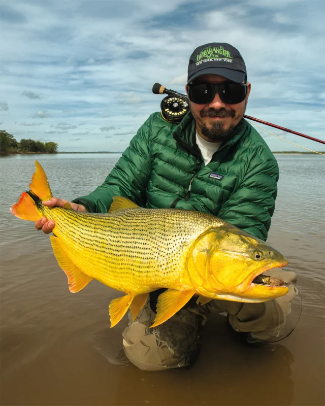 You don't need to say much when the fish looks like that.
.
.
.
#KarandaLodge #NervousWaters #GoldenDorado #FlyFishing #Fishing #FishingLodge #FlyFishingNation #FishingLife #FlyFishingAddict #DoradoOnTheFly #RiverMonsters #TheKautapenGroup