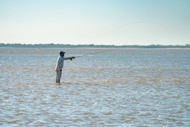 The sandbars, the perfect place to watch Dorado chasing Sábalo in skinny water. You cast, you strip set, and then you hold on.
.
.
.
#KarandaLodge #NervousWaters #GoldenDorado #FlyFishing #Fishing #FishingLodge #FlyFishingNation #FishingLife #FlyFishingAddict #DoradoOnTheFly #RiverMonsters #TheKautapenGroup