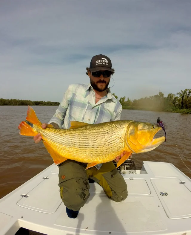 Aggressive takes, violent jumps, and runs that take you well into the backing. Golden Dorado are not an easy fish. When one this size commits to the fly, you hold on and hope your knots are good.
.
.
.
#KarandaLodge #NervousWaters #GoldenDorado #FlyFishing #Fishing #FishingLodge #FlyFishingNation #FishingLife #FlyFishingAddict #DoradoOnTheFly #RiverMonsters #TheKautapenGroup