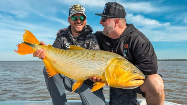 Some more from last week at Karandá. The 2026 season is on — and catches like these leave no doubt about it.
.
.
.
#KarandaLodge #NervousWaters #GoldenDorado #FlyFishing #Fishing #FishingLodge #FlyFishingNation #FishingLife #FlyFishingAddict #DoradoOnTheFly #RiverMonsters #TheKautapenGroup