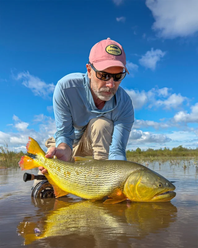 First week of the 2026 season at Karandá. The Dorado migration is underway on the middle Paraná, near Bella Vista — and the fish are already showing up in all the right places. A strong start.
.
.
.
#KarandaLodge #NervousWaters #GoldenDorado #FlyFishing #Fishing #FishingLodge #FlyFishingNation #FishingLife #FlyFishingAddict #DoradoOnTheFly #RiverMonsters #TheKautapenGroup
