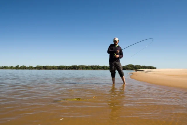 Sight-fishing the sandbars of Karandá — and connecting with gold.
.
.
.
#KarandaLodge #NervousWaters #GoldenDorado #FlyFishing #Fishing #FishingLodge #FlyFishingNation #FishingLife #FlyFishingAddict #DoradoOnTheFly #RiverMonsters #TheKautapenGroup