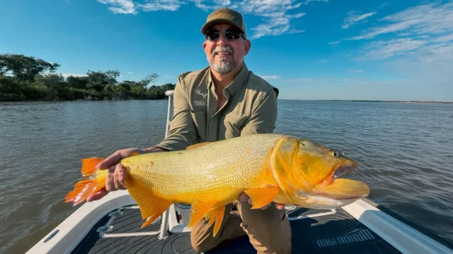 Karandá Lodge — home of the golden dorado.
.
.
.
#KarandaLodge #NervousWaters #GoldenDorado #FlyFishing #Fishing #FishingLodge #FlyFishingNation #FishingLife #FlyFishingAddict #DoradoOnTheFly #RiverMonsters #TheKautapenGroup
