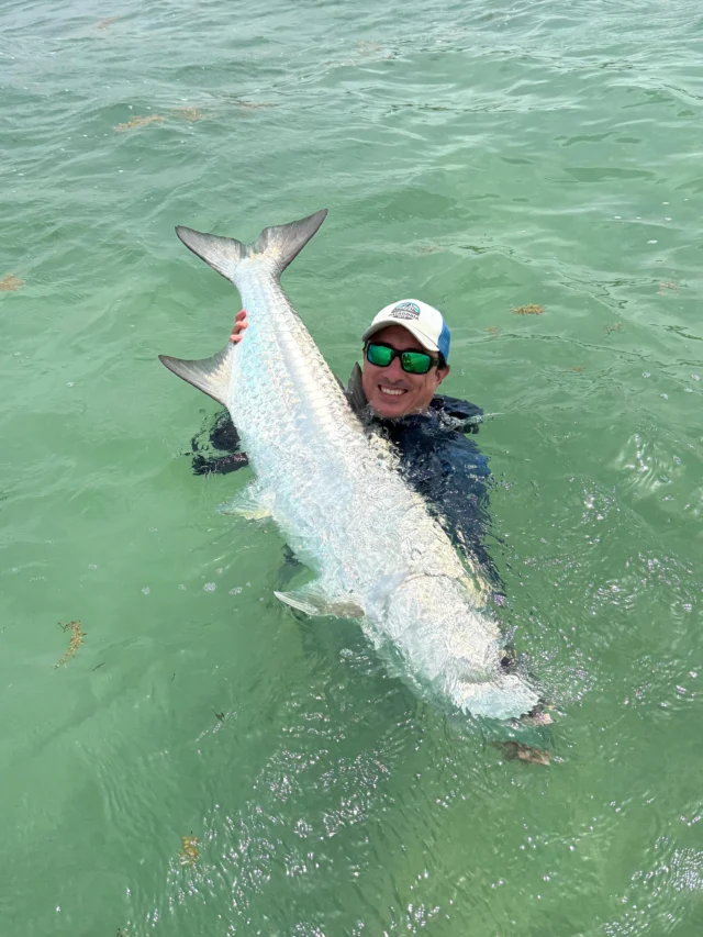 It’s hard not to smile after a tarpon like this.

#TheKautapenGroup #NervousWaters #BehKayLodge #TarponFishing #SaltwaterFlyFishing