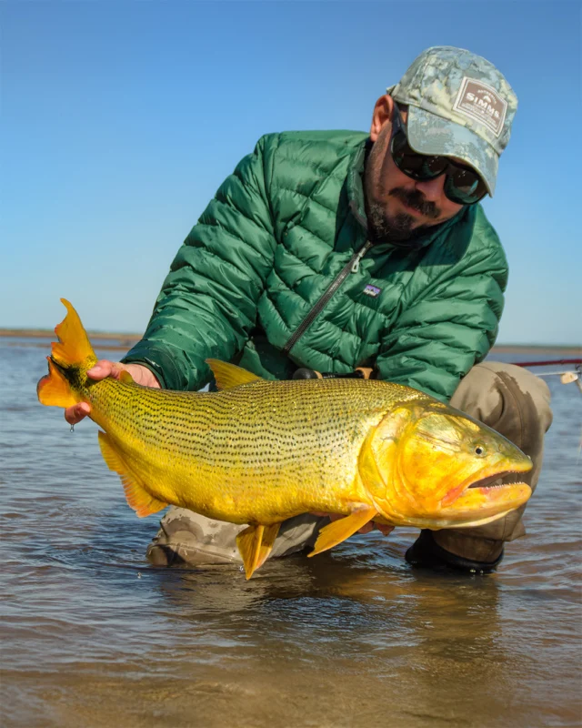 Powerful enough to take you to the backing.
.
.
.
#KarandaLodge #NervousWaters #GoldenDorado #FlyFishing #Fishing #FishingLodge #FlyFishingNation #FishingLife #FlyFishingAddict #DoradoOnTheFly #RiverMonsters #TheKautapenGroup