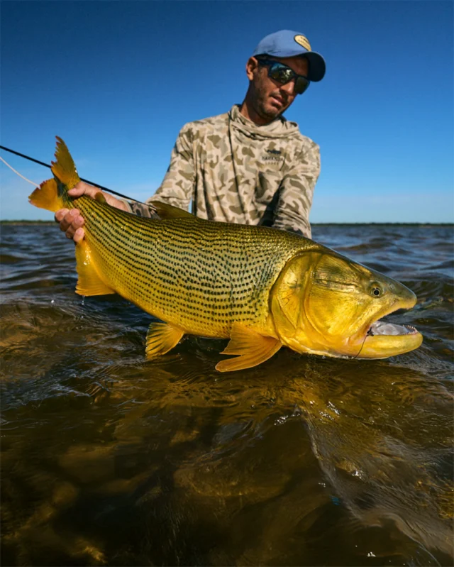 Face to face with gold. 
.
.
.
#KarandaLodge #NervousWaters #GoldenDorado #FlyFishing #Fishing #FishingLodge #FlyFishingNation #FishingLife #FlyFishingAddict #DoradoOnTheFly #RiverMonsters #TheKautapenGroup