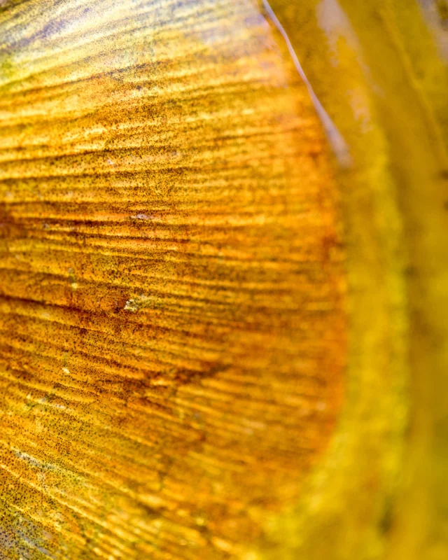 Pure gold. Season is on!
.
.
.
#KarandaLodge #NervousWaters #GoldenDorado #FlyFishing #Fishing #FishingLodge #FlyFishingNation #FishingLife #FlyFishingAddict #DoradoOnTheFly #RiverMonsters #TheKautapenGroup