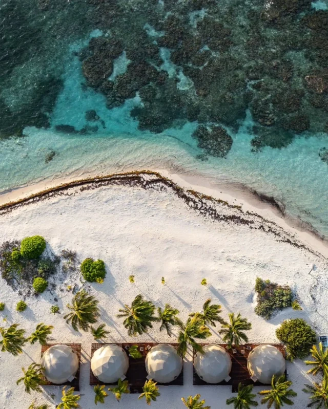 On a quiet stretch of Caribbean coastline inside the Sian Ka'an Reserve, Beh Kay Lodge is small by design. Four domes, eight anglers, direct access to Espíritu Santo Bay. Everything here was built around one pursuit. The House of Permit.
.
.
.
#NervousWaters #BehKayLodge #PermitFishing #FlyWaterTravel #SageExperiences