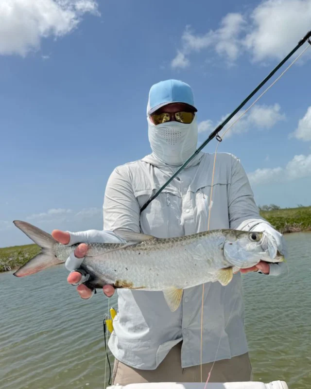 Three iconic species. One unforgettable trip.

From tailing Permit to Baby Tarpon and hard-fighting Snook, this crew experienced just how diverse the fishing on Espíritu Santo Bay can be.
.
.
.
.
.
#NervousWaters #EspírituSantoBayLodge #MexicoFishing #TheFlyShop #TheKautapenGroup