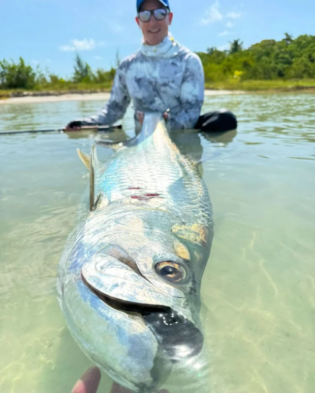 There’s more to Espíritu Santo Bay than just Permit.

From trophy migratory & Baby Tarpon to hard-fighting Jacks and explosive Bonefish, every day brings a new challenge.

.
.
.
.
#NervousWaters #EspírituSantoBayLodge #MexicoFishing #TheFlyShop #TheKautapenGroup