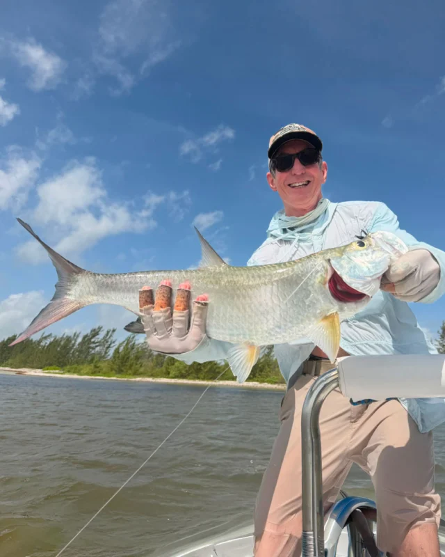 More than just Permit.

Espíritu Santo Bay offers outstanding fishing for Baby Tarpon, Snook, and Bonefish, making every day on the water a new opportunity.
.
.
.
.
.
#NervousWaters #EspírituSantoBayLodge #Bonefish #Snook #TheFlyShop