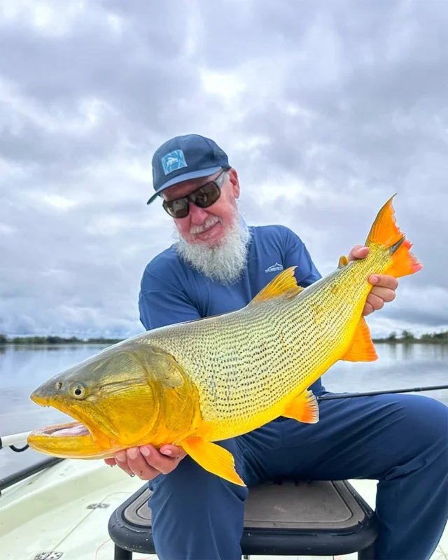 Every dorado fights like it has something to prove.
.
.
.
#KarandaLodge #NervousWaters #GoldenDorado #FlyFishing #Fishing #FishingLodge #FlyFishingNation #FishingLife #FlyFishingAddict #DoradoOnTheFly #RiverMonsters #TheKautapenGroup