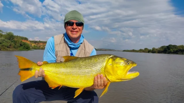 Some rivers hold fish. The middle Paraná builds them.
.
Structure everywhere, cut-banks, sandbars, sunken timber and dorado that grow into it. When one of these eats, you'll know exactly why you came.
.
.
.
#KarandaLodge #NervousWaters #GoldenDorado #FlyFishing #Fishing #FishingLodge #FlyFishingNation #FishingLife #FlyFishingAddict #DoradoOnTheFly #RiverMonsters #TheKautapenGroup