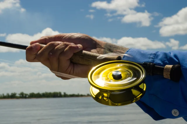 The reel screams. The reward stay. 
.
.
.
#KarandaLodge #NervousWaters #GoldenDorado #FlyFishing #Fishing #FishingLodge #FlyFishingNation #FishingLife #FlyFishingAddict #DoradoOnTheFly #RiverMonsters #TheKautapenGroup