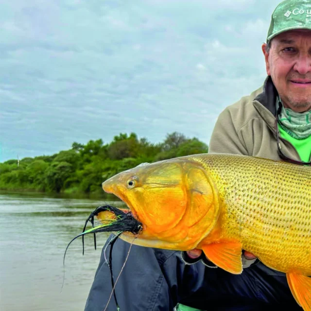 Push-poling the shallow flats, scanning for movement, waiting for the right angle. When a dorado moves onto the sandbar to ambush sábalo, precision and patience are the only things between you and that take.
.
.
.
#KarandaLodge #NervousWaters #GoldenDorado #FlyFishing #Fishing #FishingLodge #FlyFishingNation #FishingLife #FlyFishingAddict #DoradoOnTheFly #RiverMonsters #TheKautapenGroup