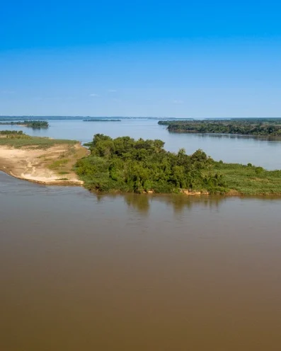 Swinging flies past sunken structure, sight-casting to dorado patrolling the sandbars, working the edges, the Paraná gives you every kind of water, and every kind of fight.
.
.
.
#KarandaLodge #NervousWaters #GoldenDorado #FlyFishing #Fishing #FishingLodge #FlyFishingNation #FishingLife #FlyFishingAddict #DoradoOnTheFly #RiverMonsters #TheKautapenGroup