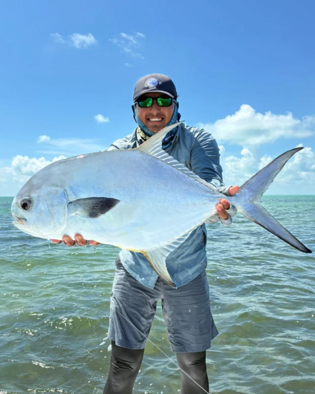 Bahía Espíritu Santo has earned its reputation with fish of every size and behavior—from tailing singles in shallow water to big cruising Permit across the bay. And every so often, one shows up that reminds you exactly why this place is so special.
.
.
.
.
.
.
.
#NervousWaters #EspírituSantoBayLodge #PermitFishing #MexicoFishing #TheFlyShop